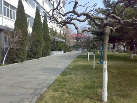 98b27d08b83734cd48042cda825849e5_20131029173428-1357323480.jpg